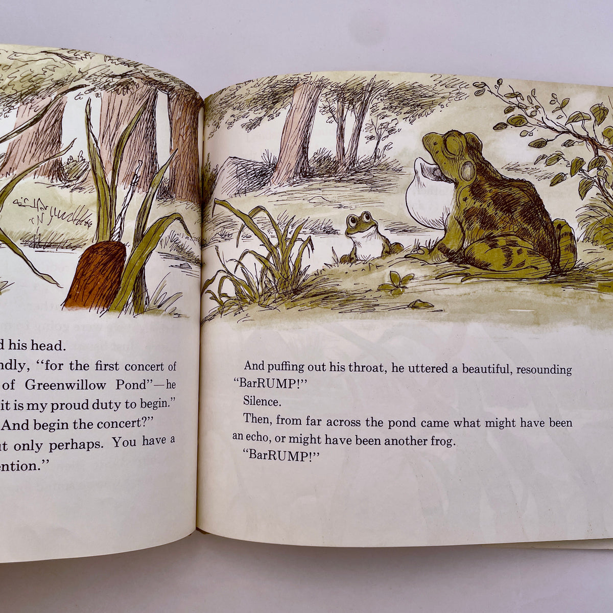 The Voices of Greenwillow Pond