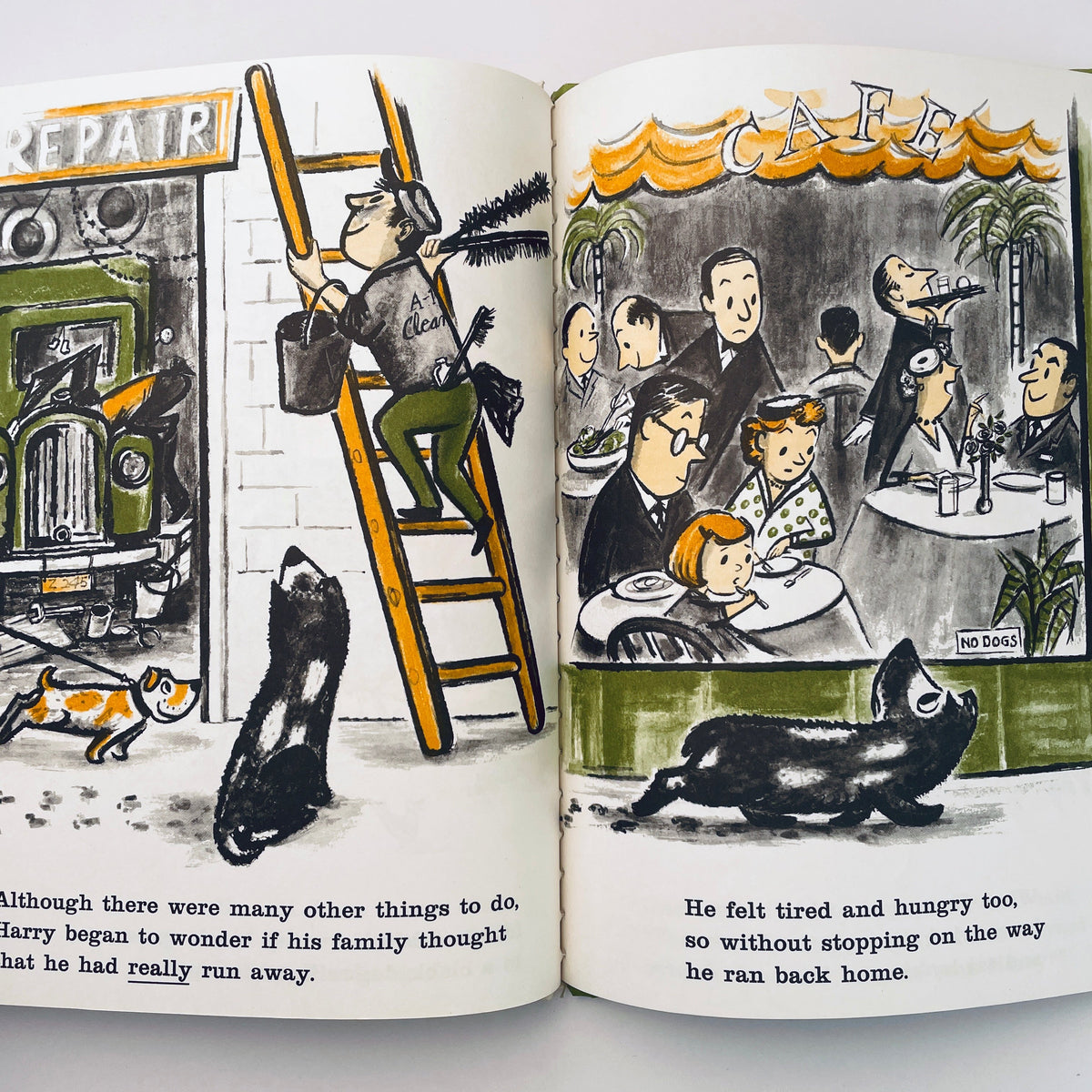 Harry the Dirty Dog