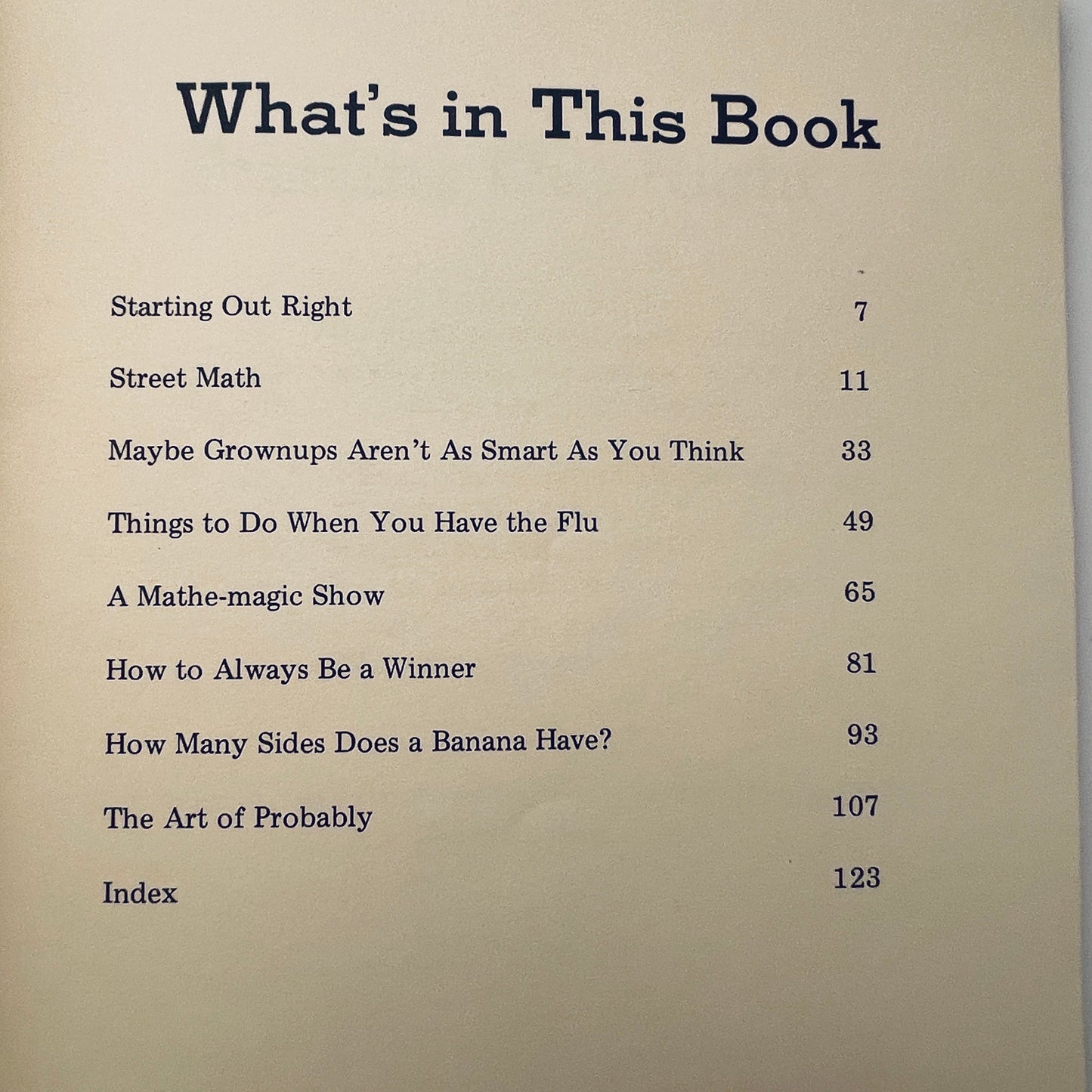 The I Hate Mathematics! Book