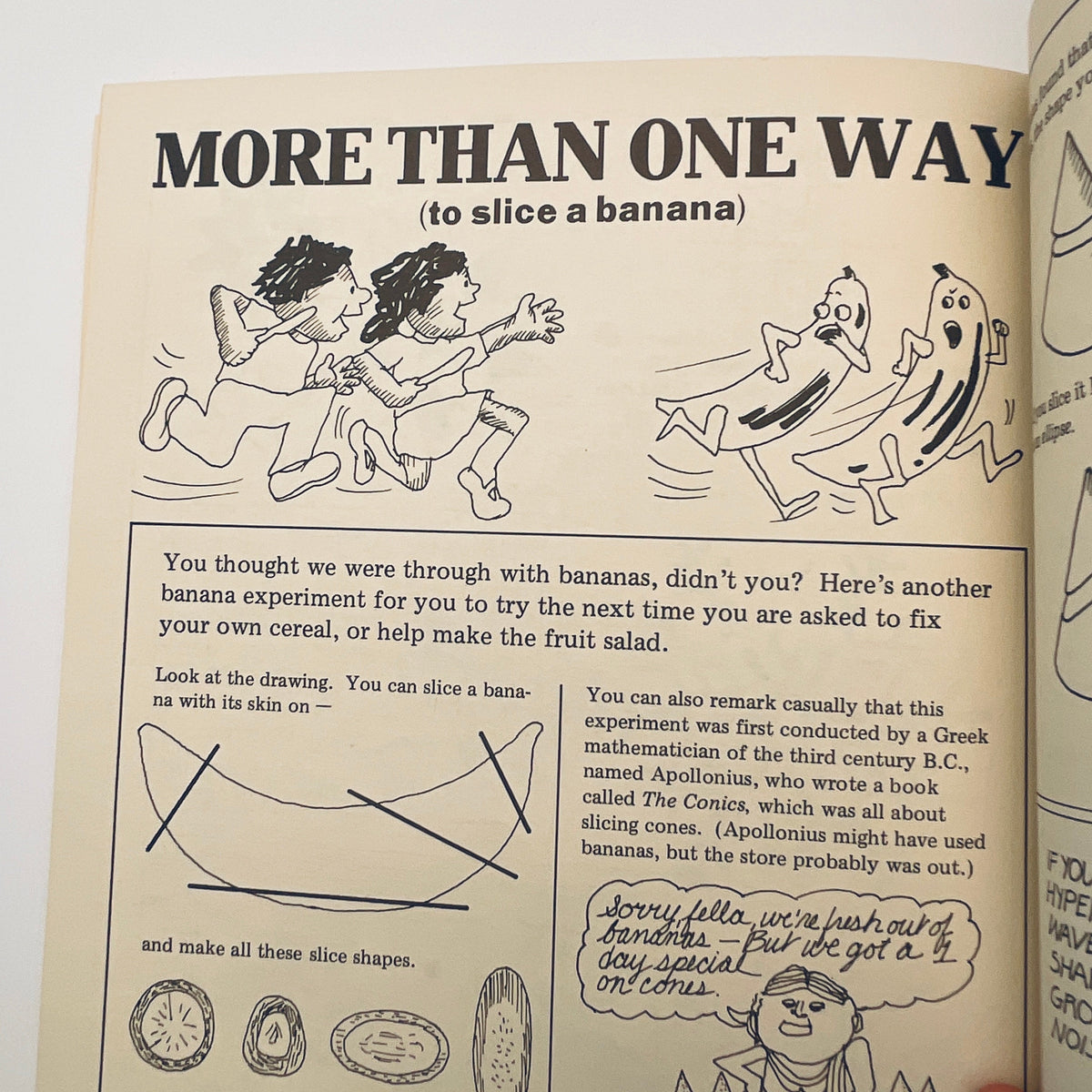 The I Hate Mathematics! Book