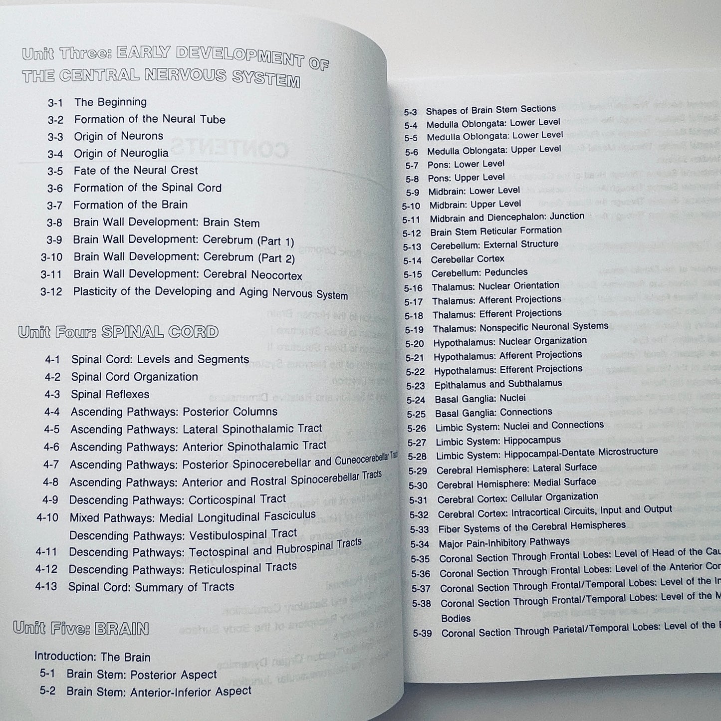 The Human Brain Coloring Book