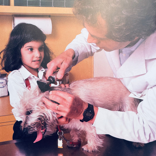 Taking My Dog to the Vet