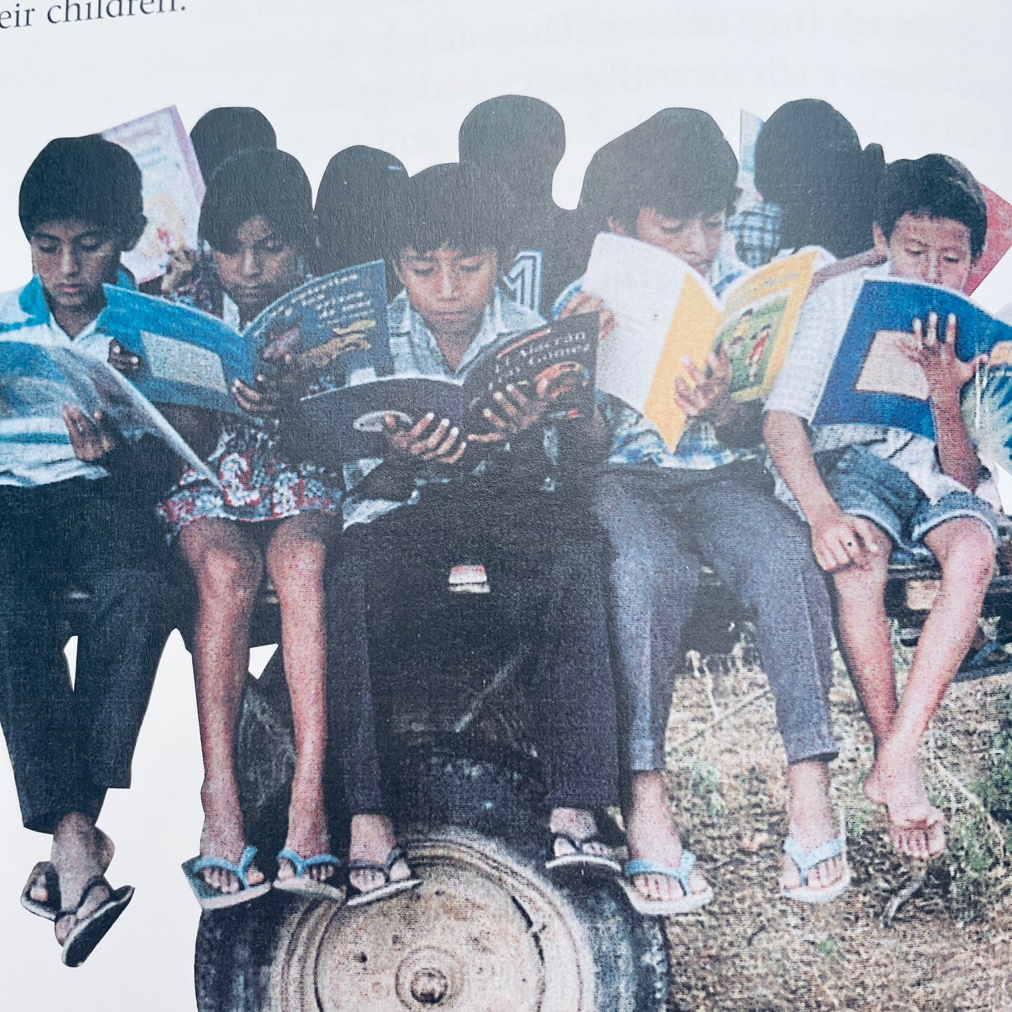 My Librarian is a Camel: How Books Are Brought to Children Around the World