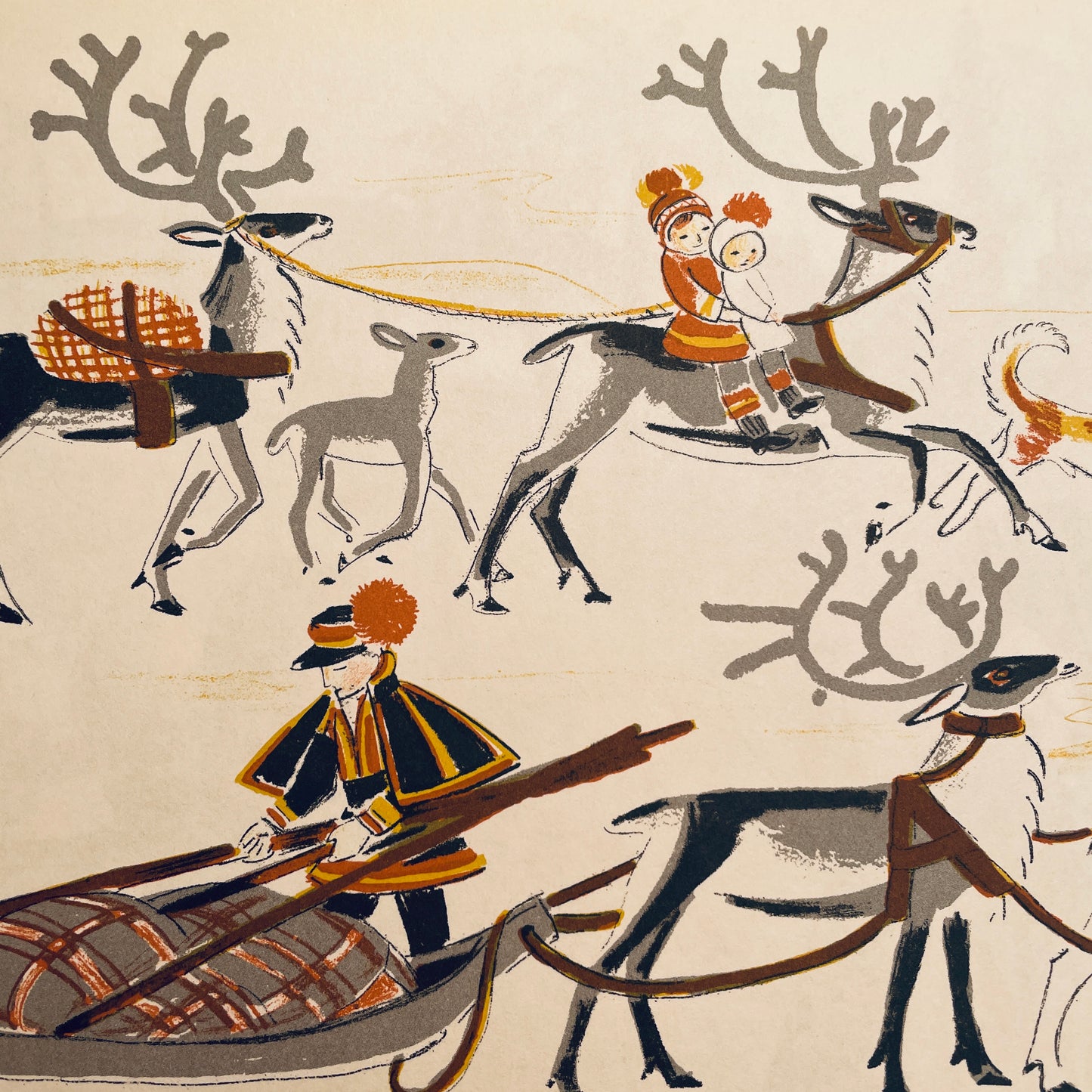 Wild And Tame Animals