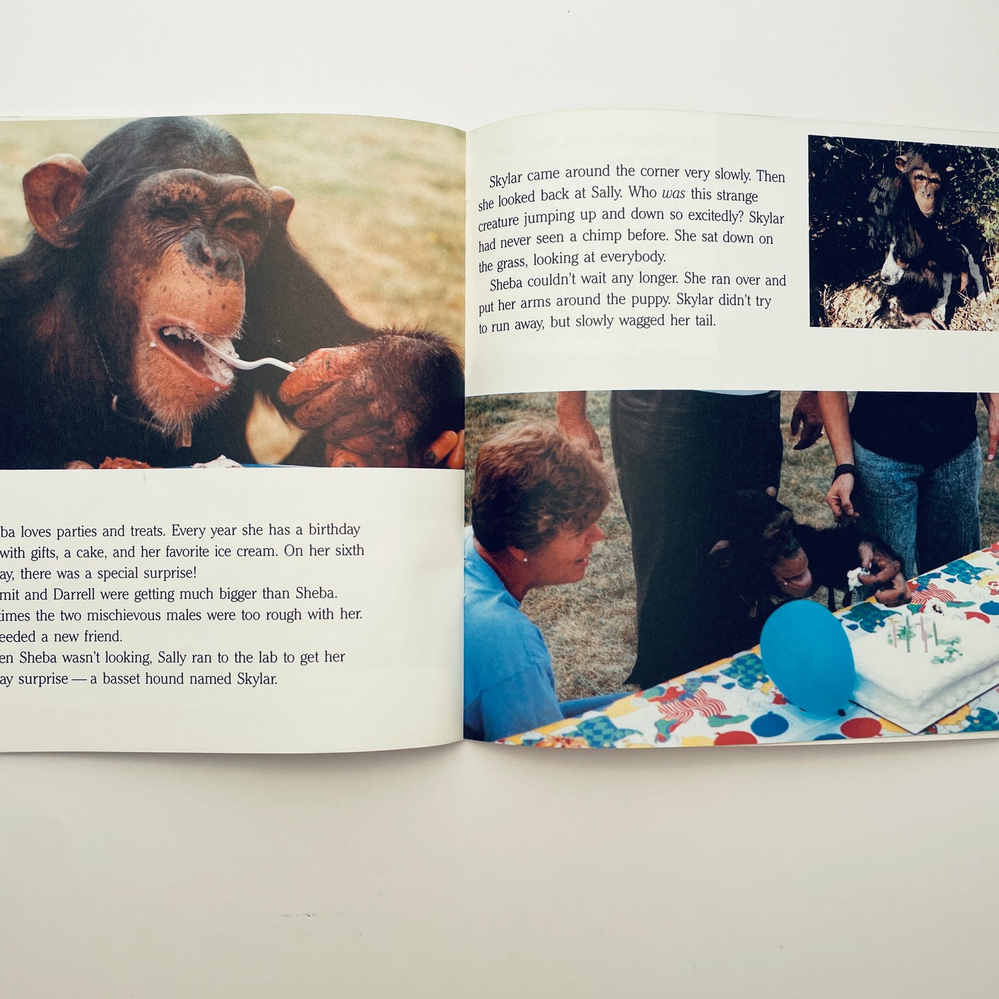 Sheba the Chimp and Skylar