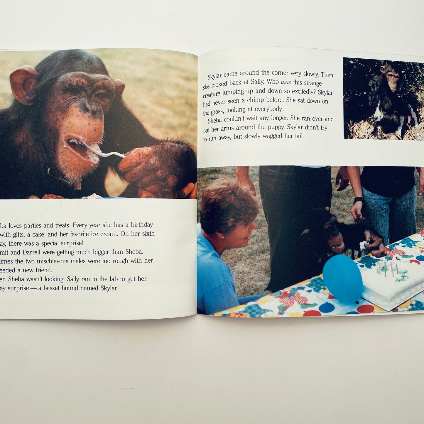 Sheba the Chimp and Skylar