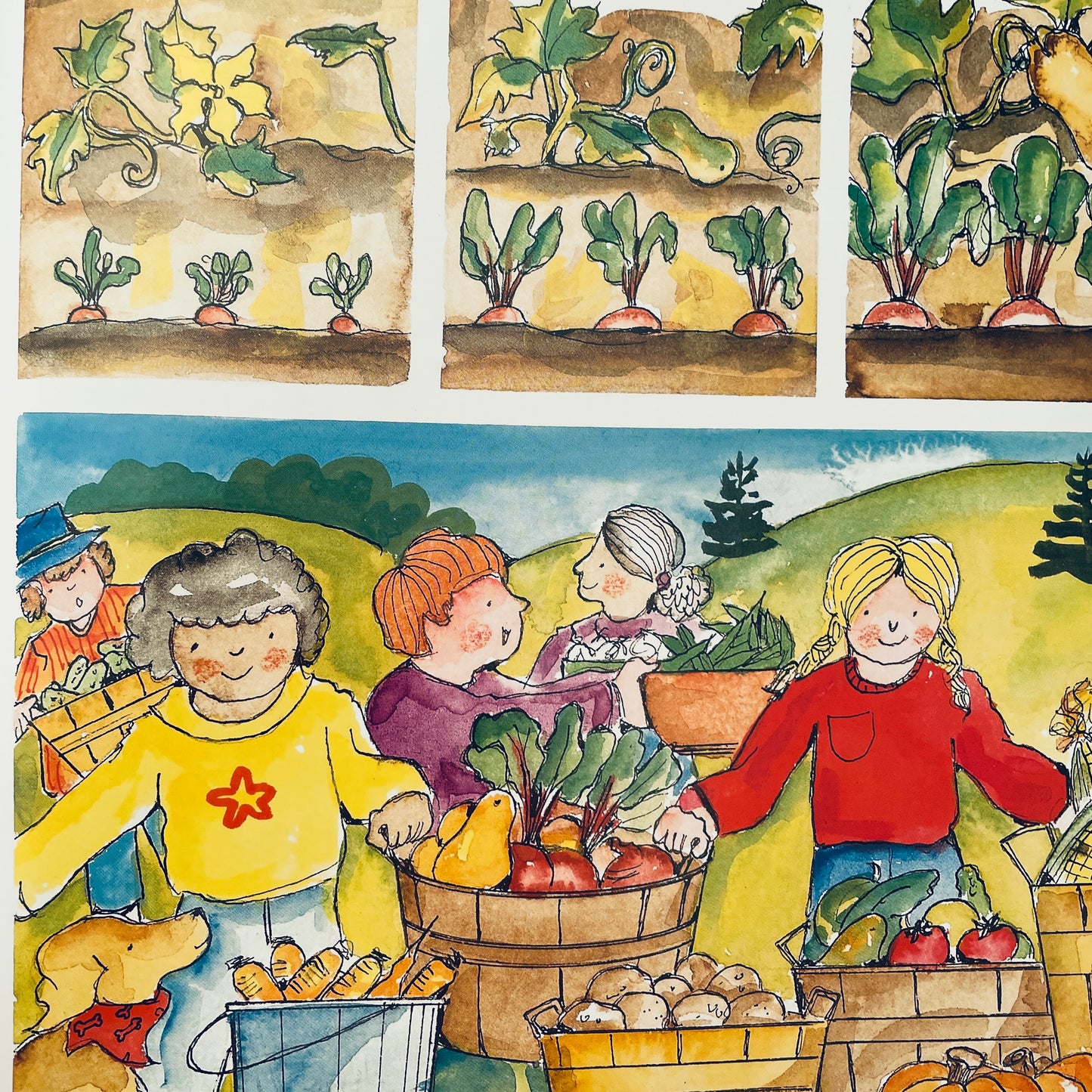 The Vegetables We Eat