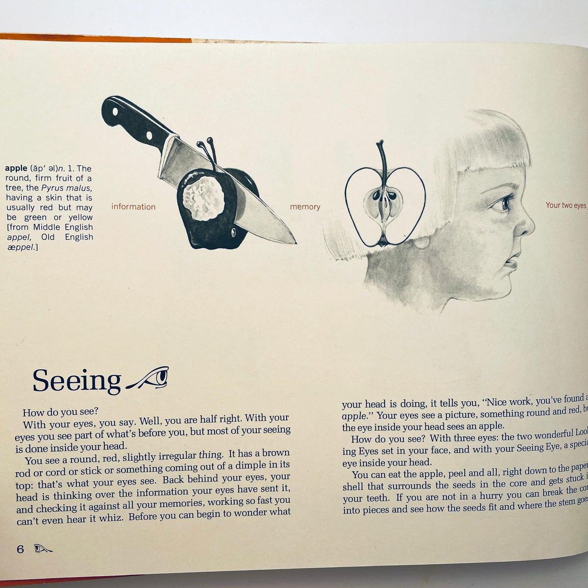 Inside: Seeing Beneath the Surface