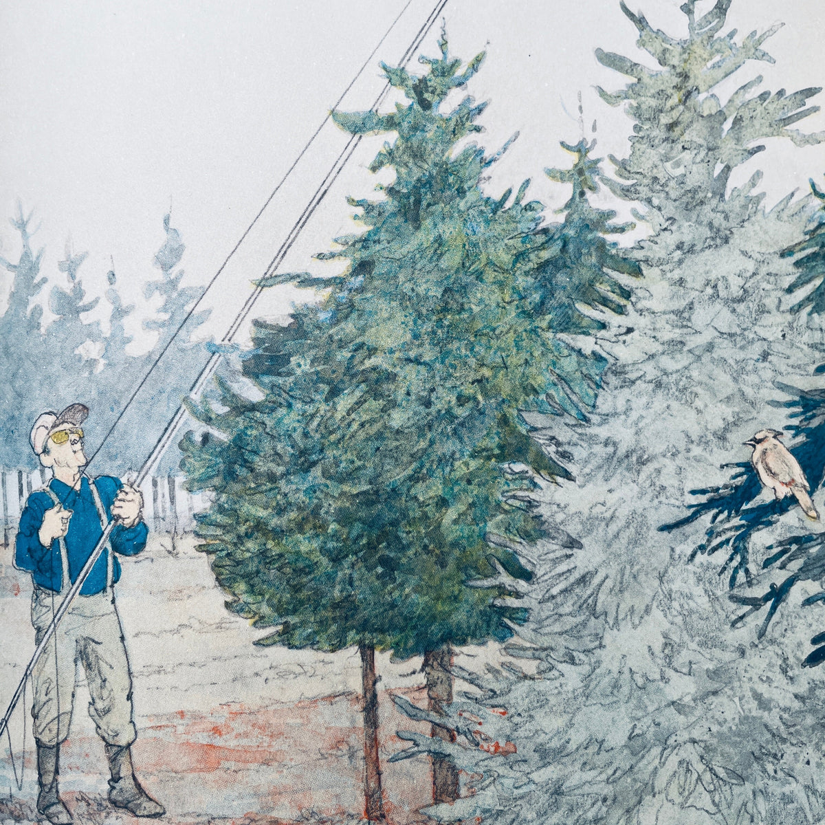 Christmas Tree Farm