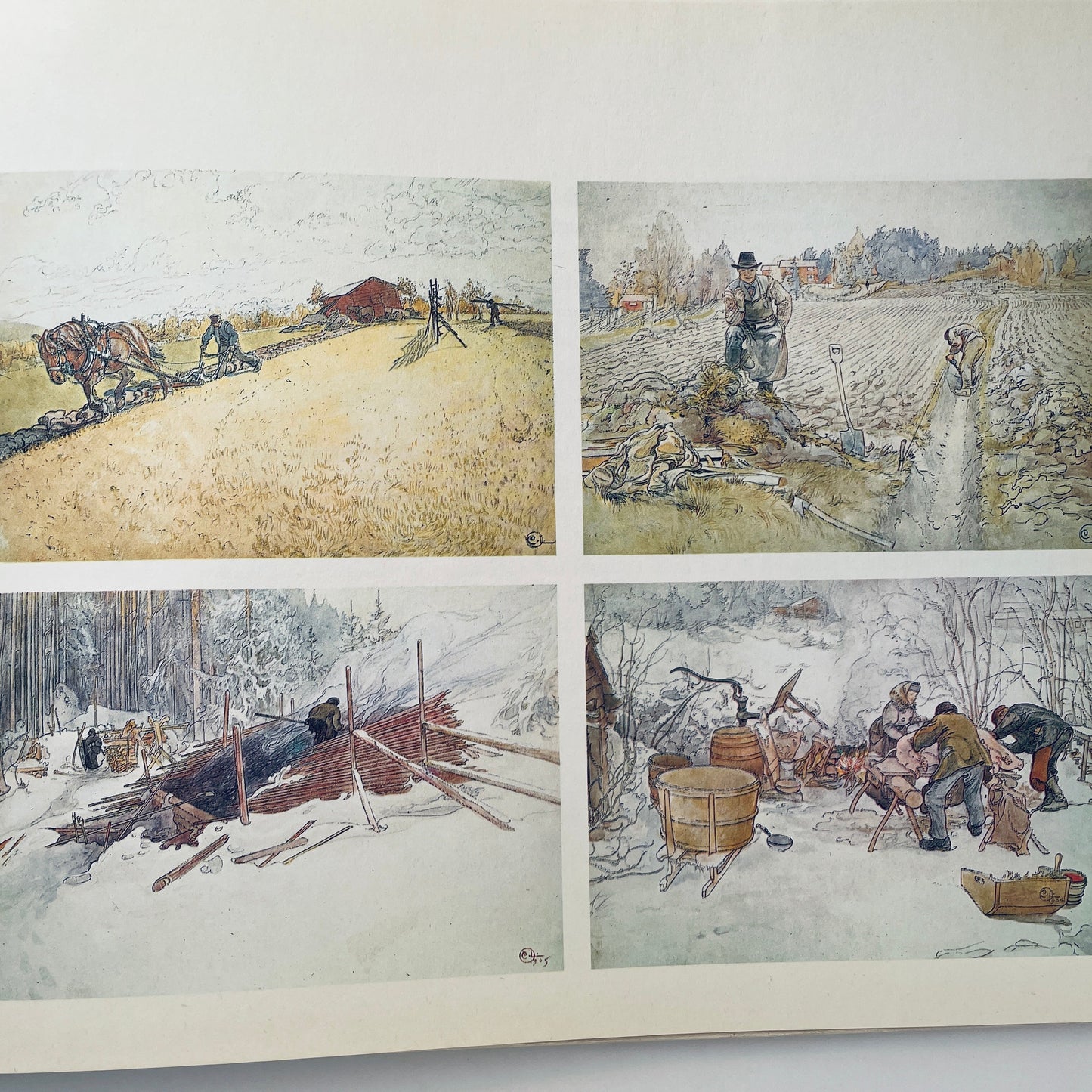 A Farm