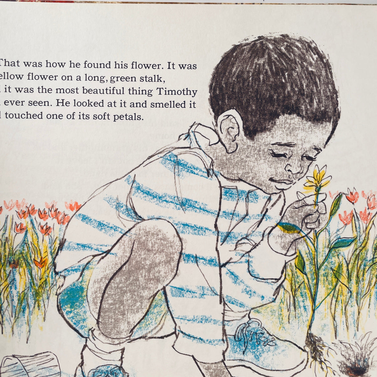 Timothy's Flower