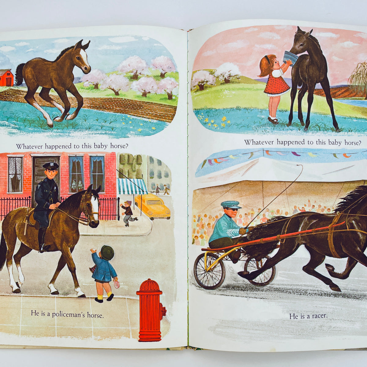 Whatever Happens to Baby Horses?