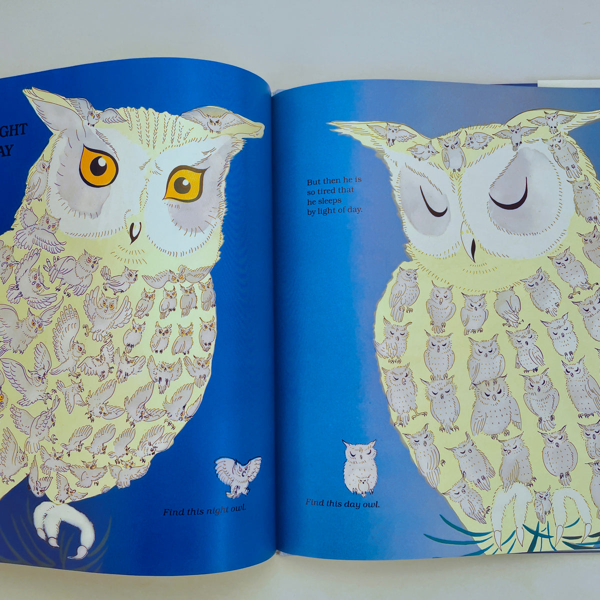 Demi's Opposites: An Animal Game Book