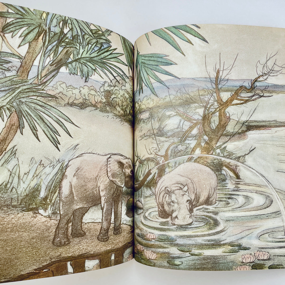 Pantaloons: Adventures of a Baby Elephant