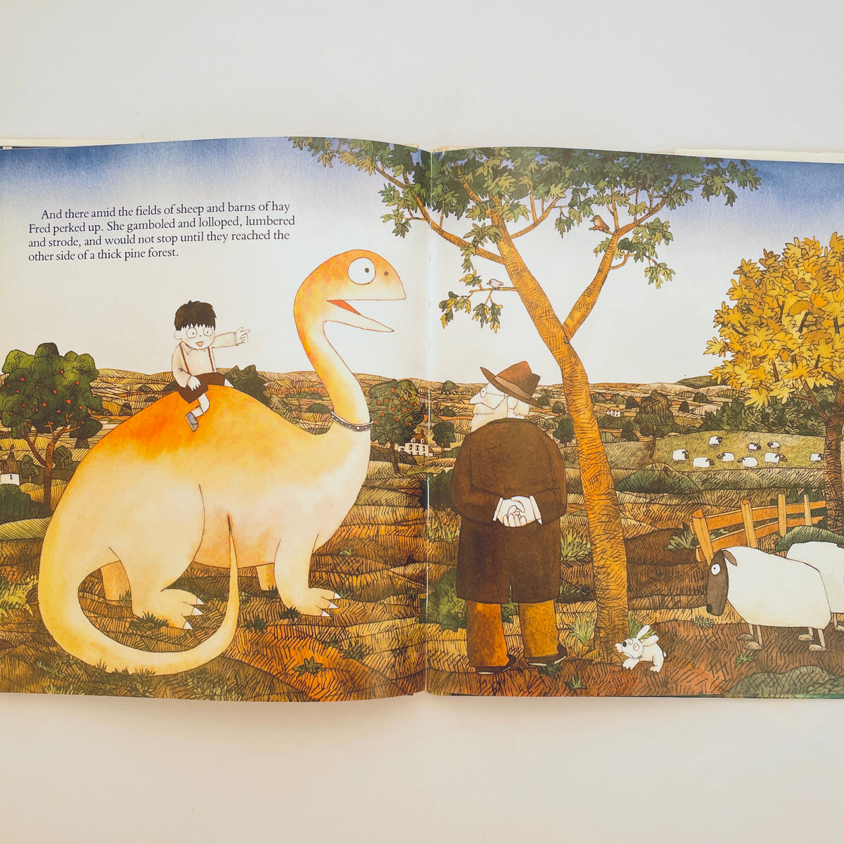 A Boy Wants a Dinosaur