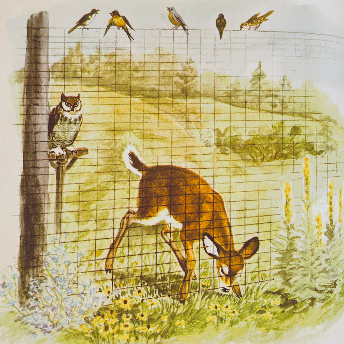 Bambi’s Children