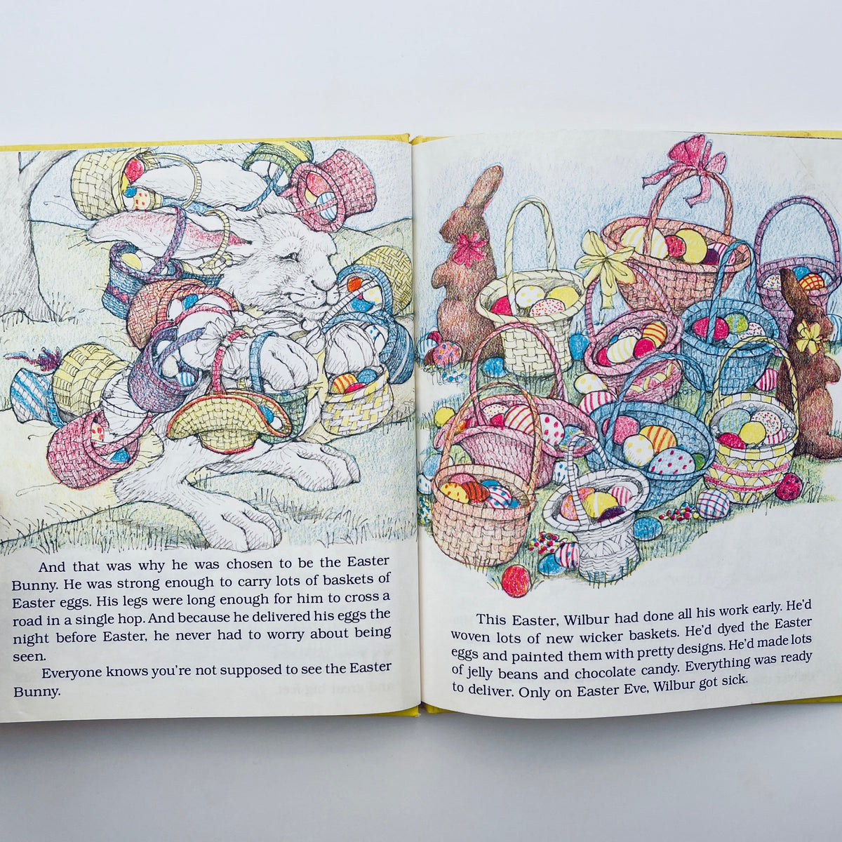 The Big Bunny and the Easter Eggs