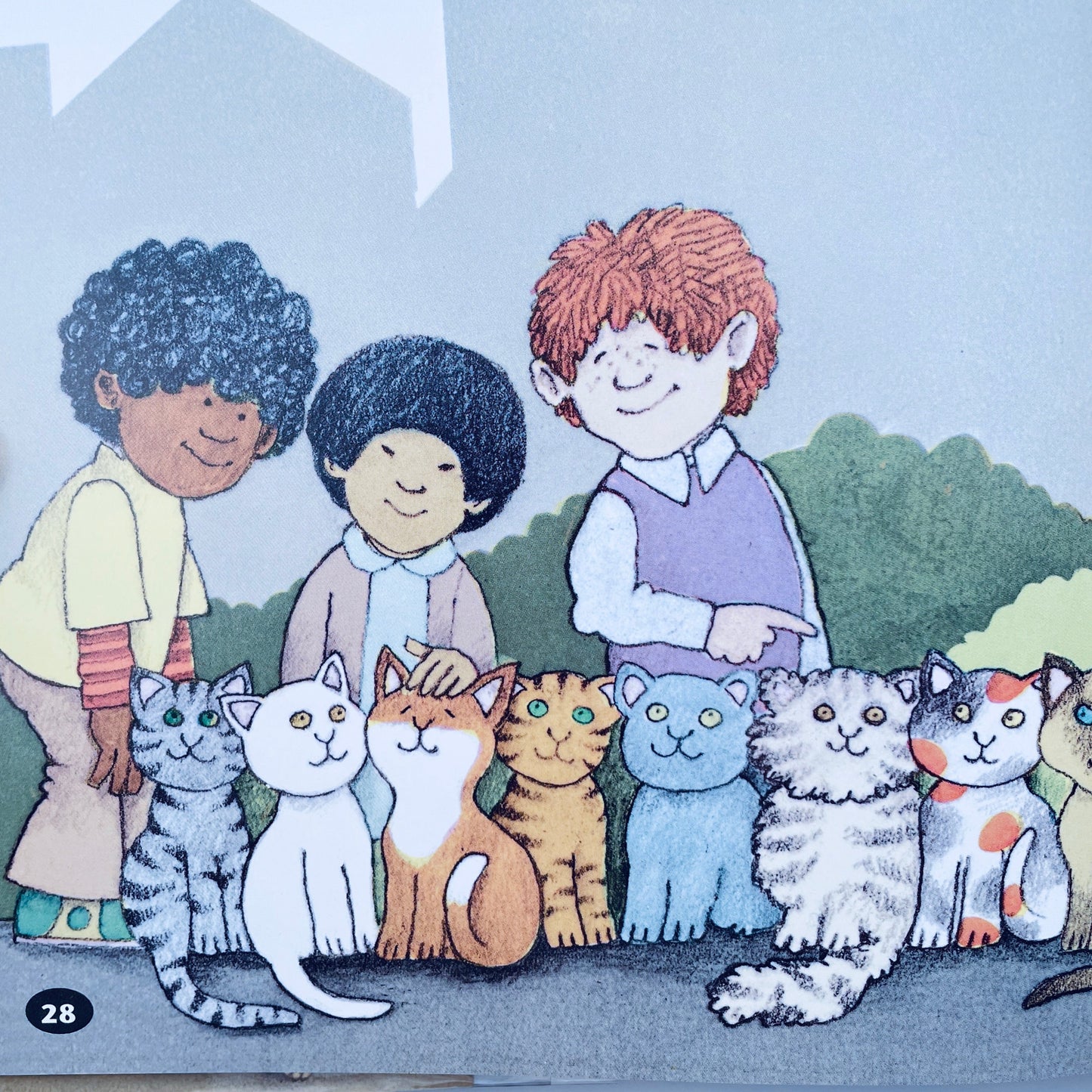 Cats and Kittens