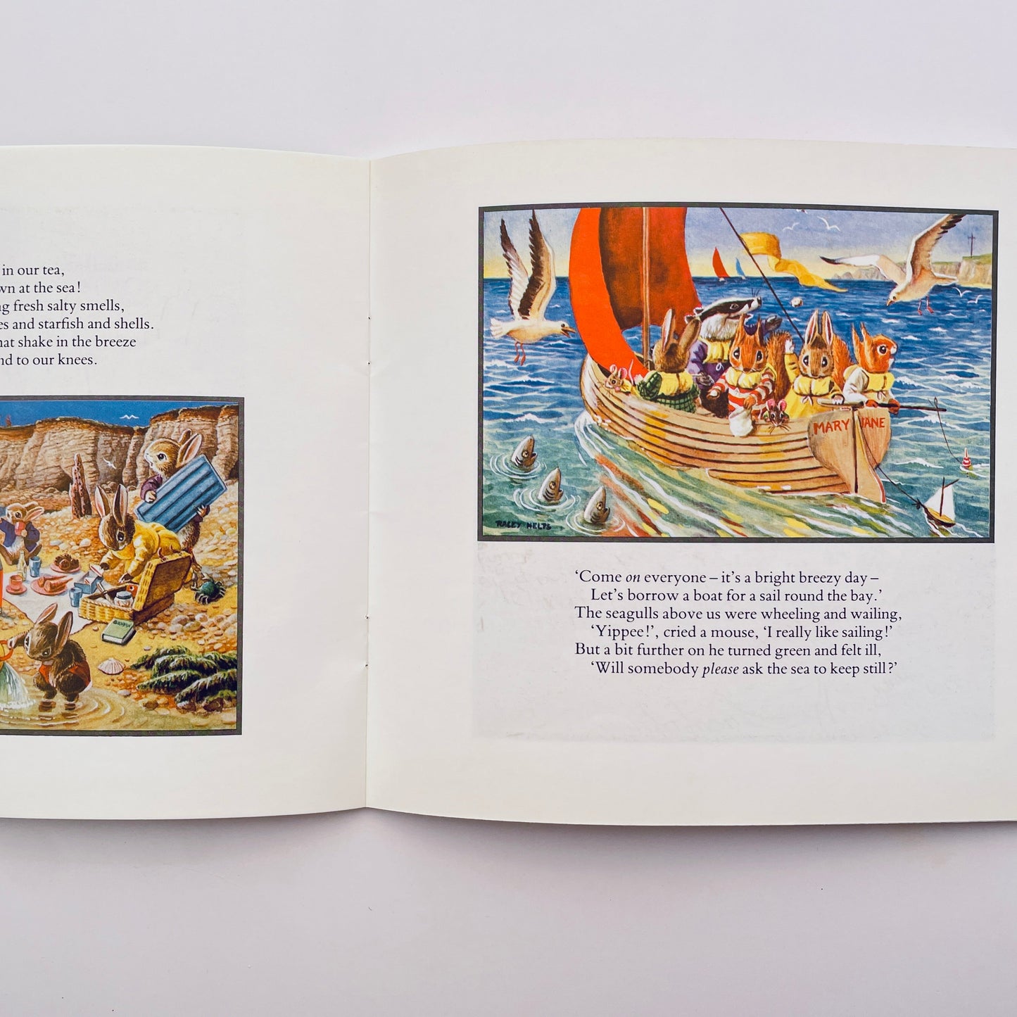 The Racey Helps Picture Book