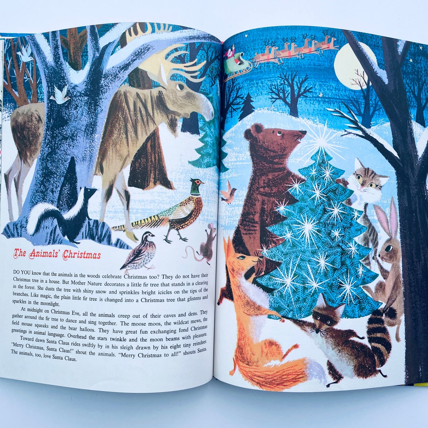 Favorite Christmas Songs & Stories