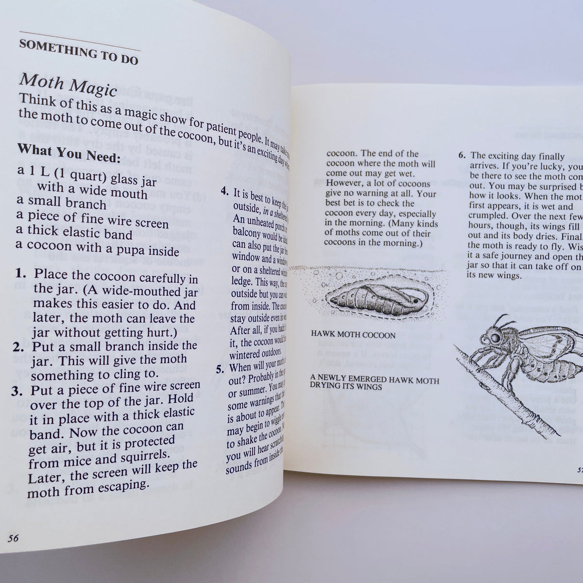 Looking at Insects: A Book of Things to See and Do