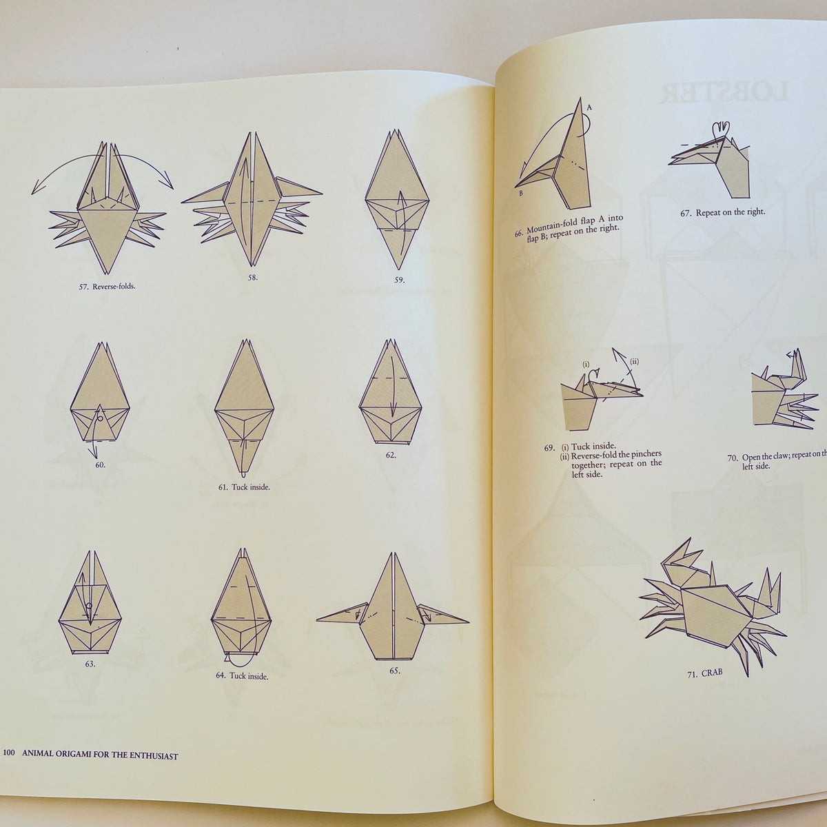 Animal Origami for the Enthusiast
