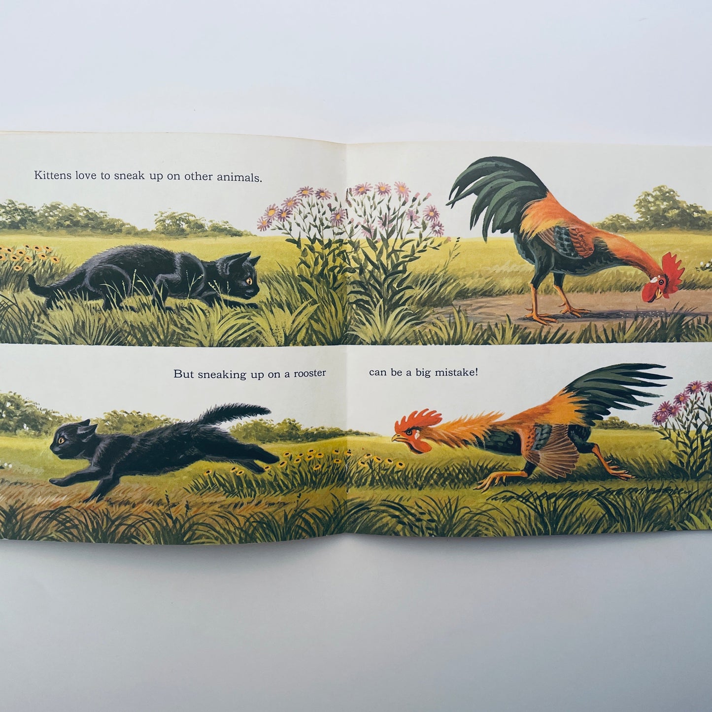 Kittens Are Like That