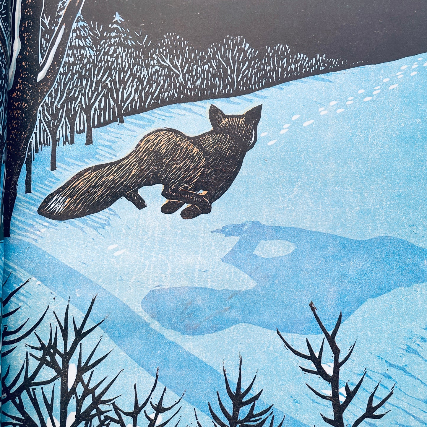 Fox's Dream
