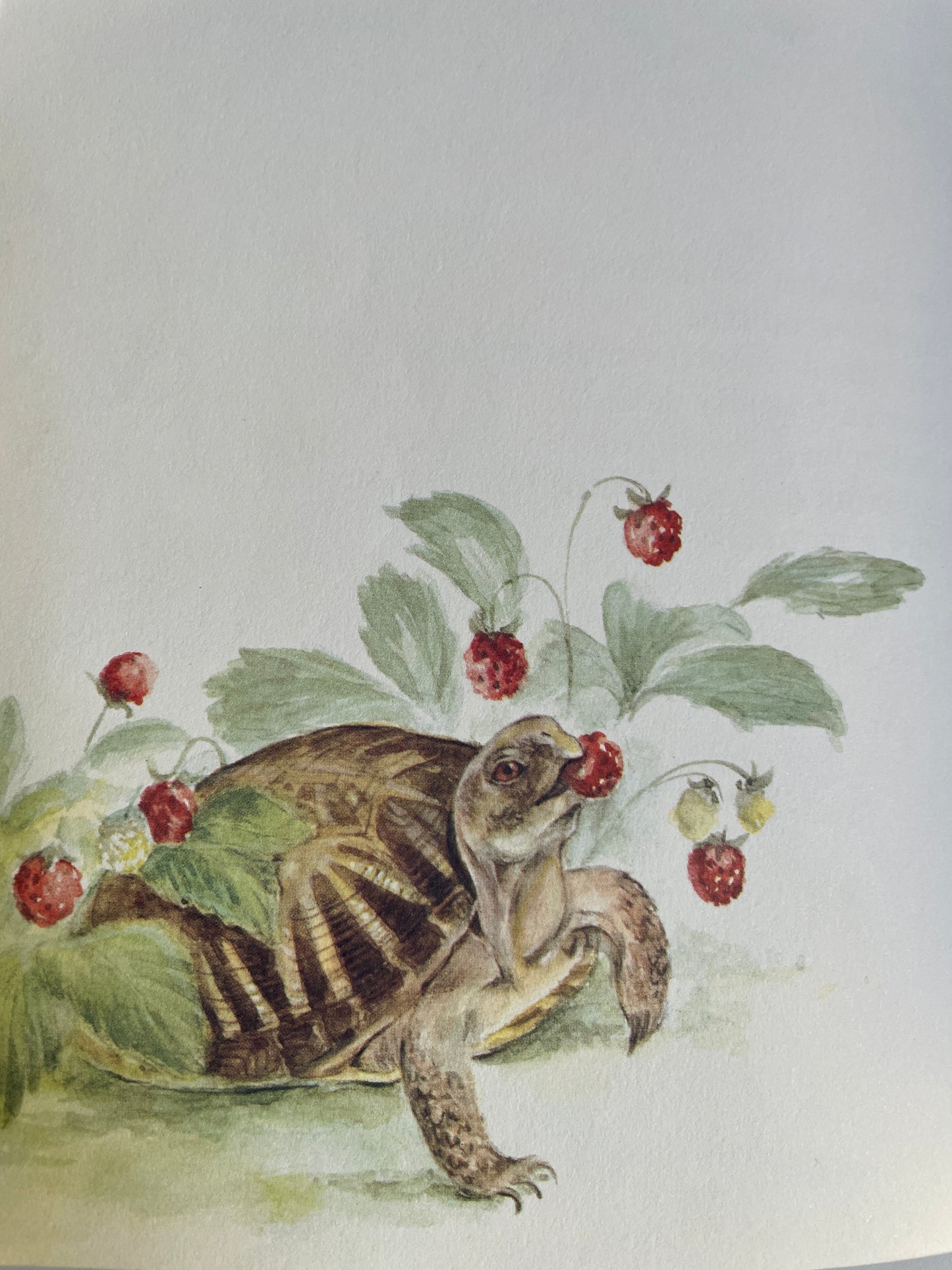 Mousekin Finds a Friend