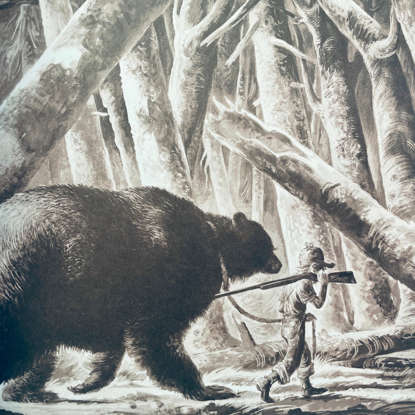 The Biggest Bear