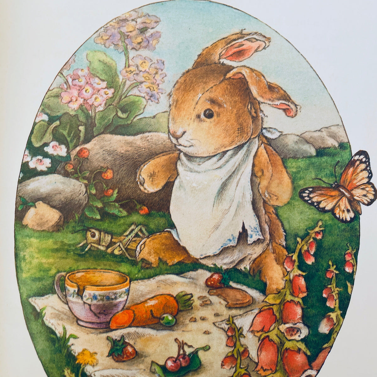 The Velveteen Rabbit