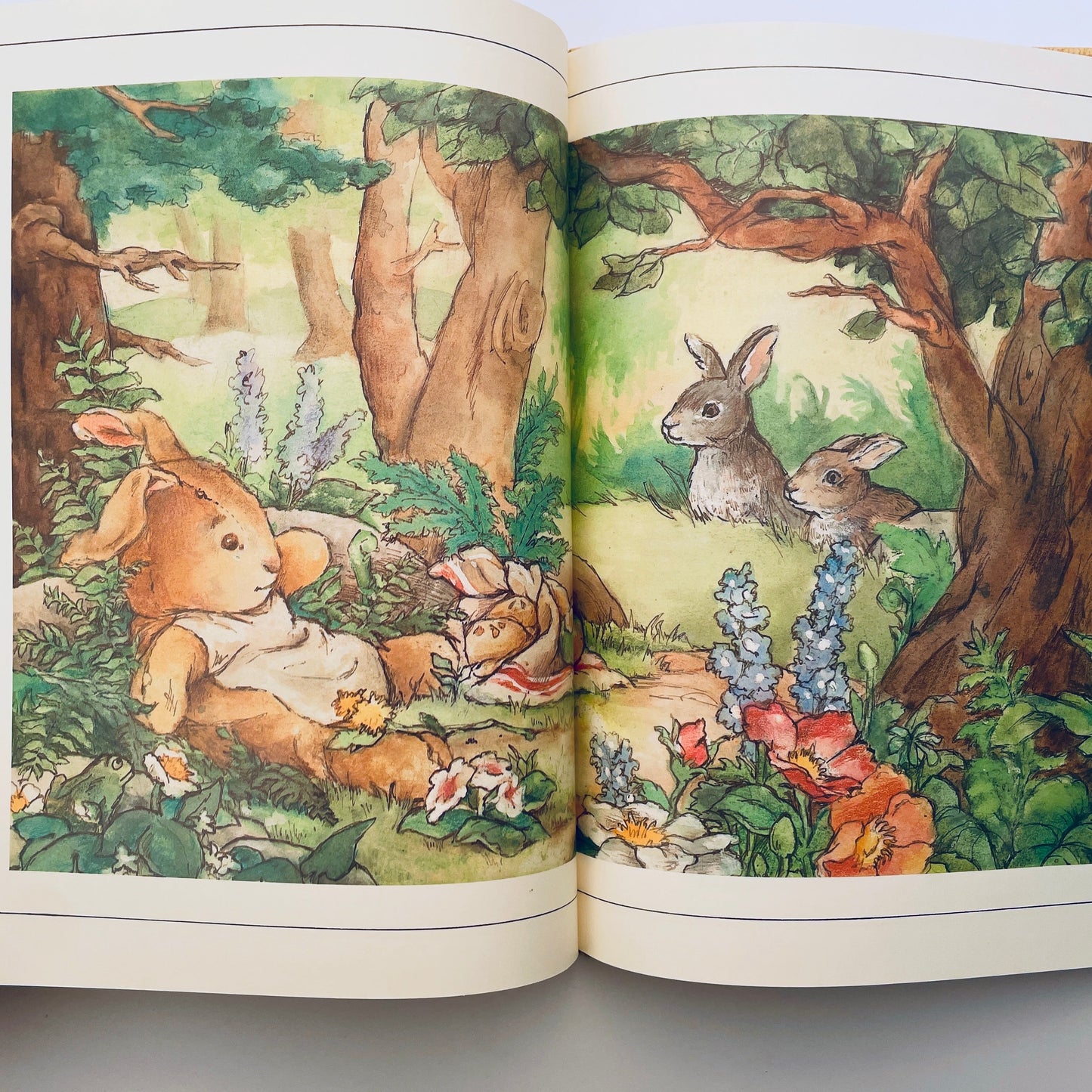 The Velveteen Rabbit