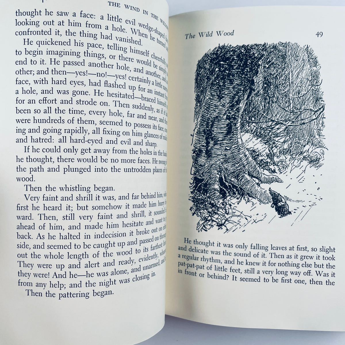 The Wind in the Willows