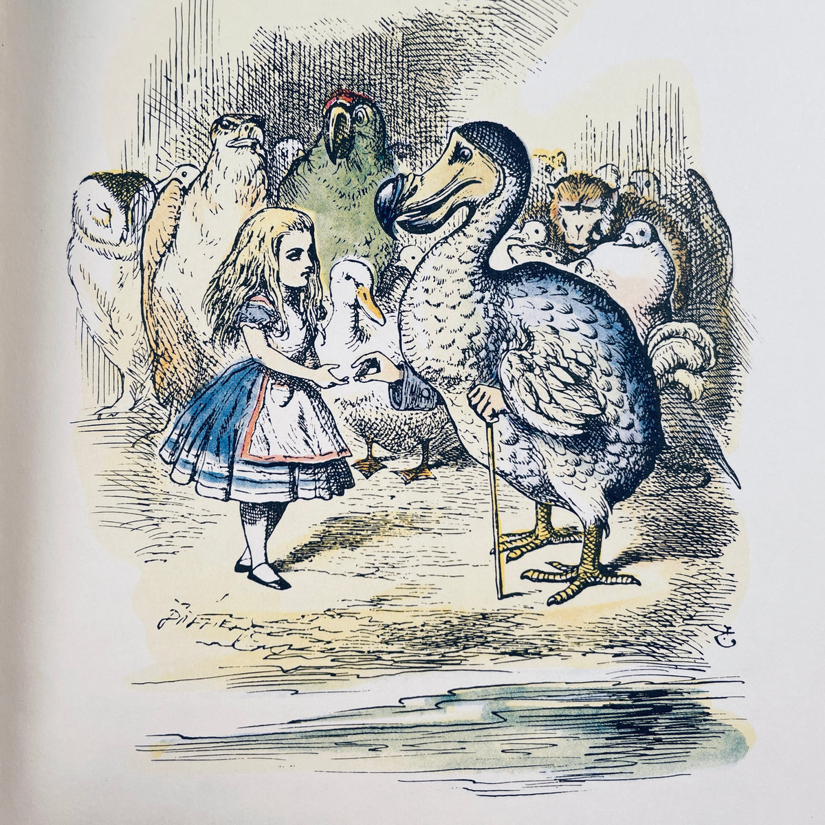 Alice in Wonderland / Through the Looking Glass
