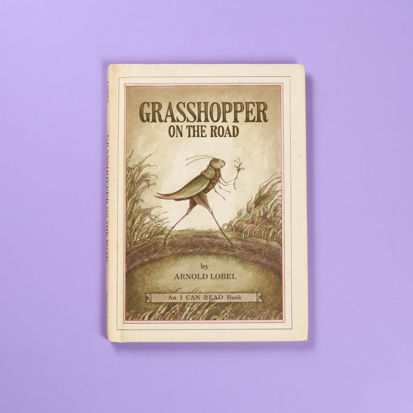 Grasshopper on the Road