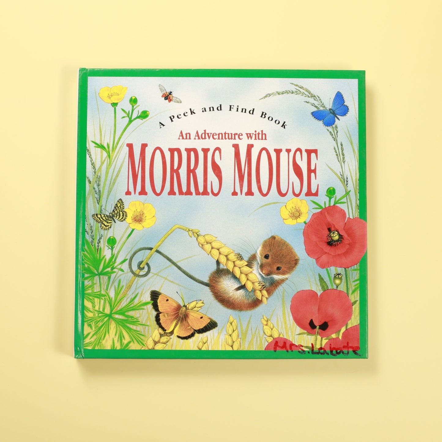 An Adventure With Morris Mouse (Peek-and-Find-book)