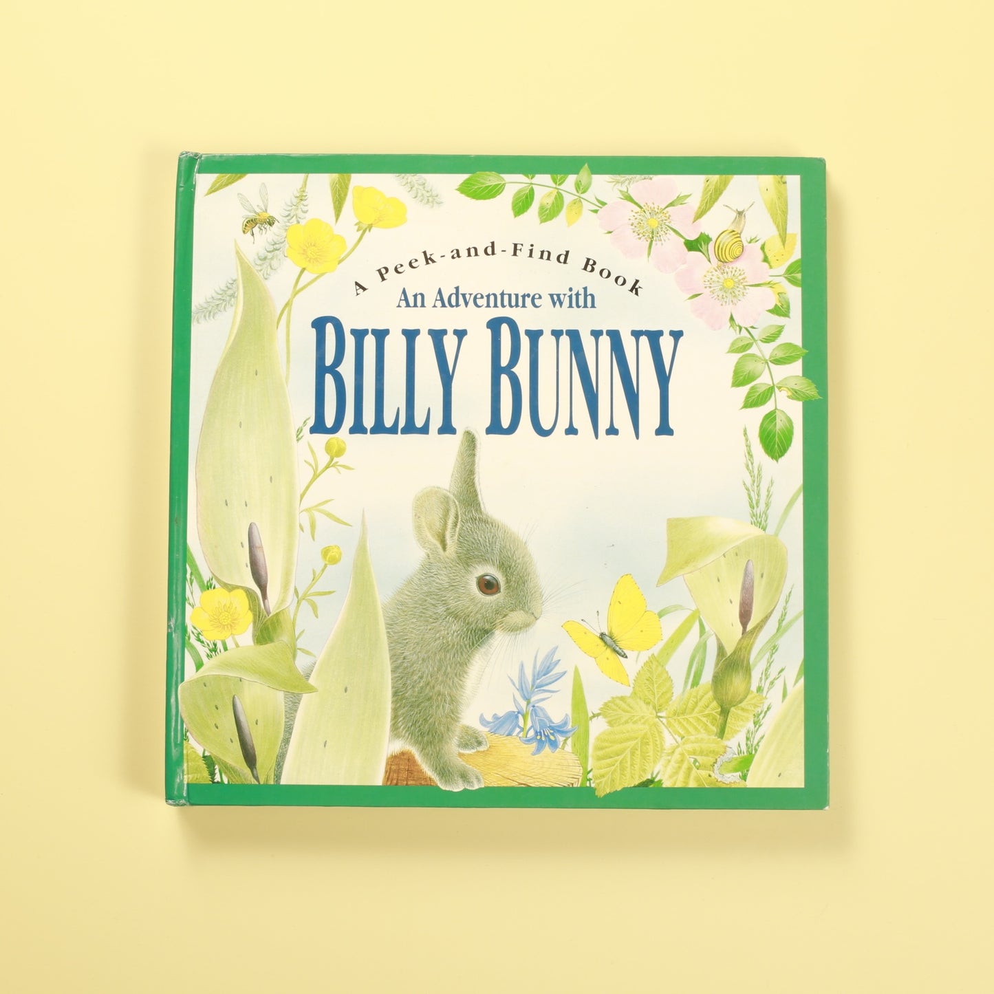 An Adventure with Billy Bunny (Peek-and-Find-Book)