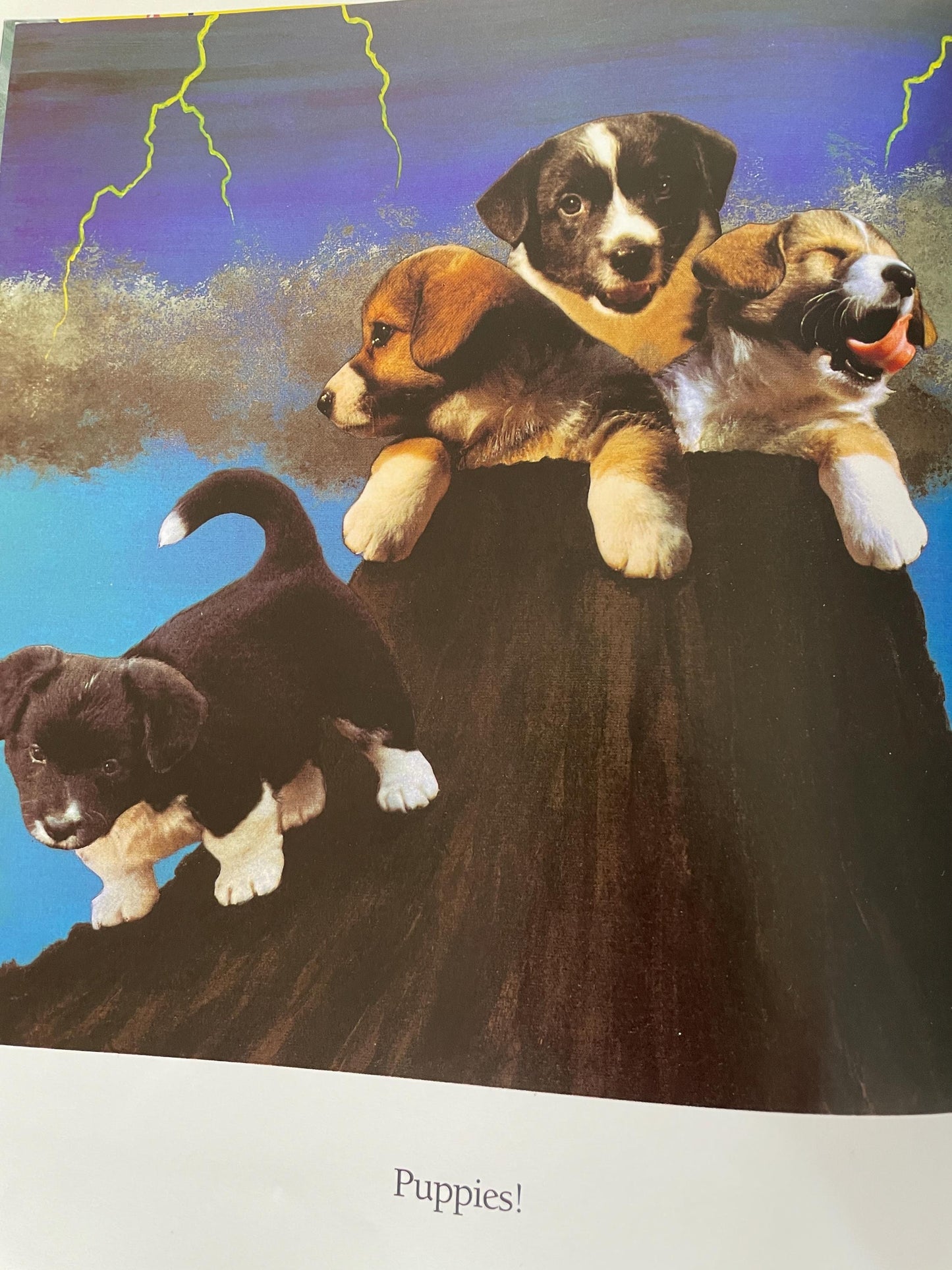 Dogzilla
