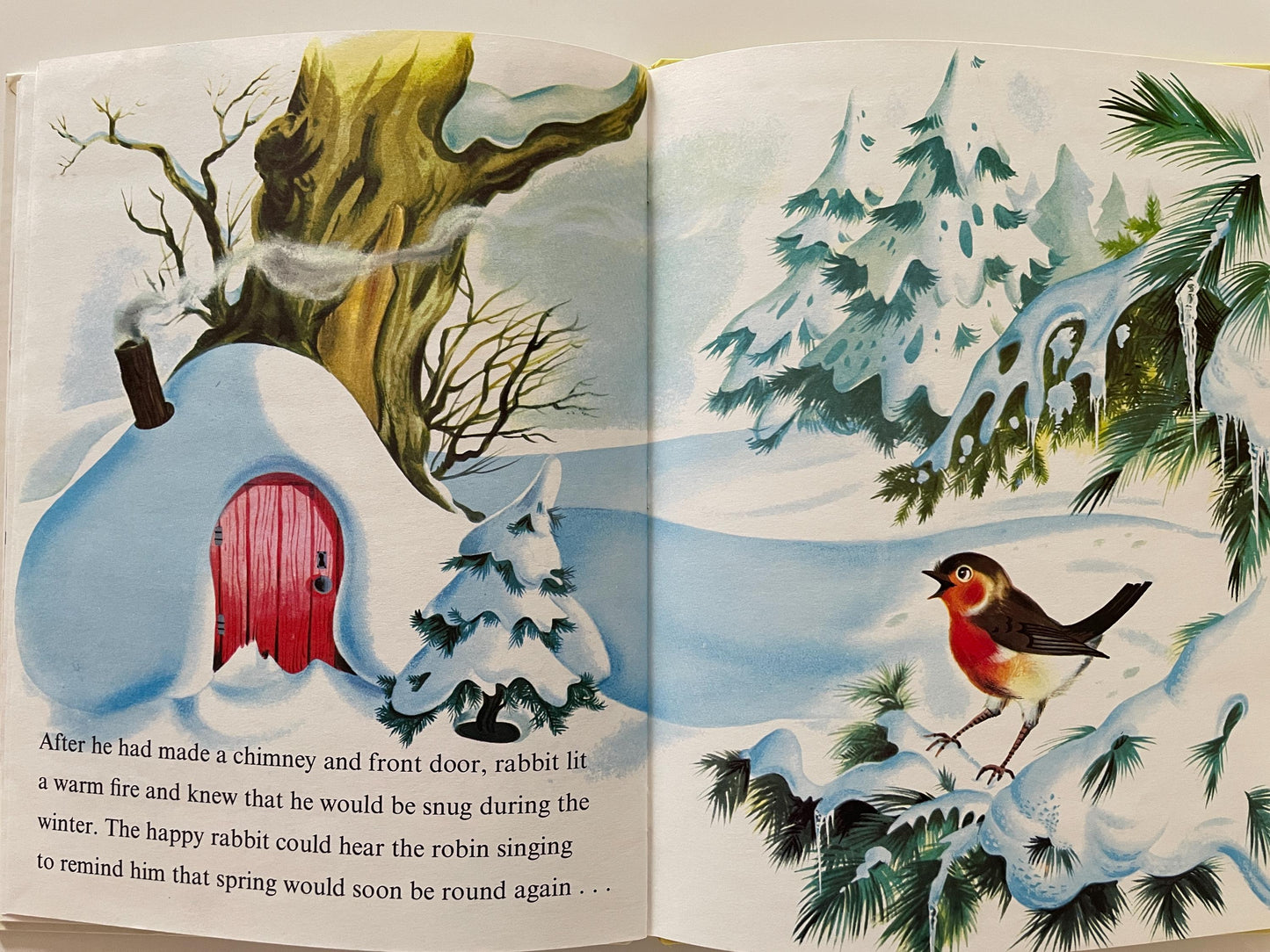 The Happy Rabbit by Patricia Barton