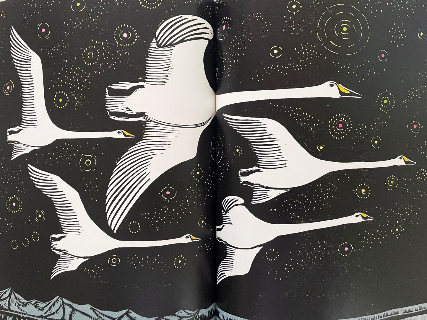 Swan Sky