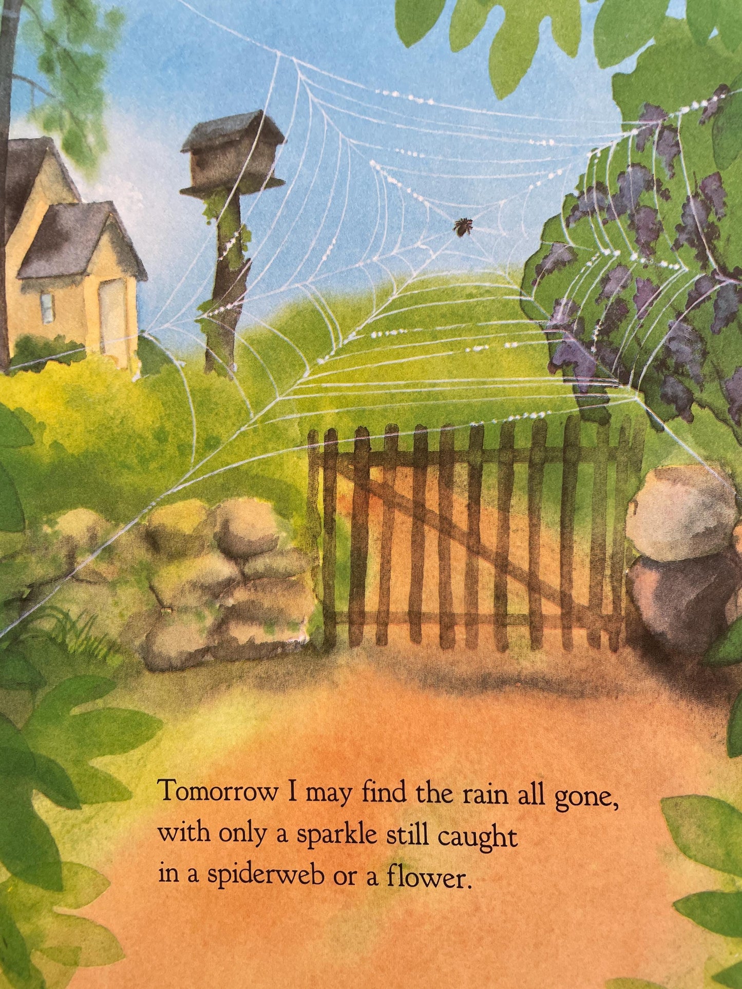 Rain Talk by Mary Serfozo, illustrated by Keiko Narahashi