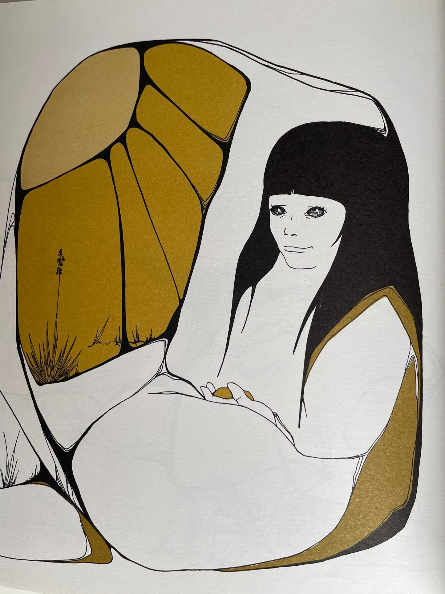 Everybody Needs a Rock by Byrd Baylor, illustrated by Peter Parnall