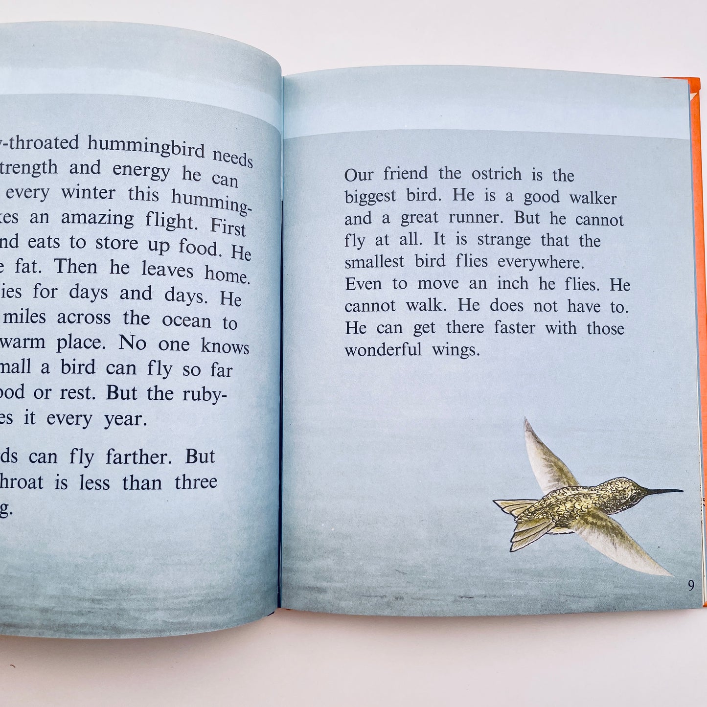 Birds do the Strangest Things (Step-Up Books)
