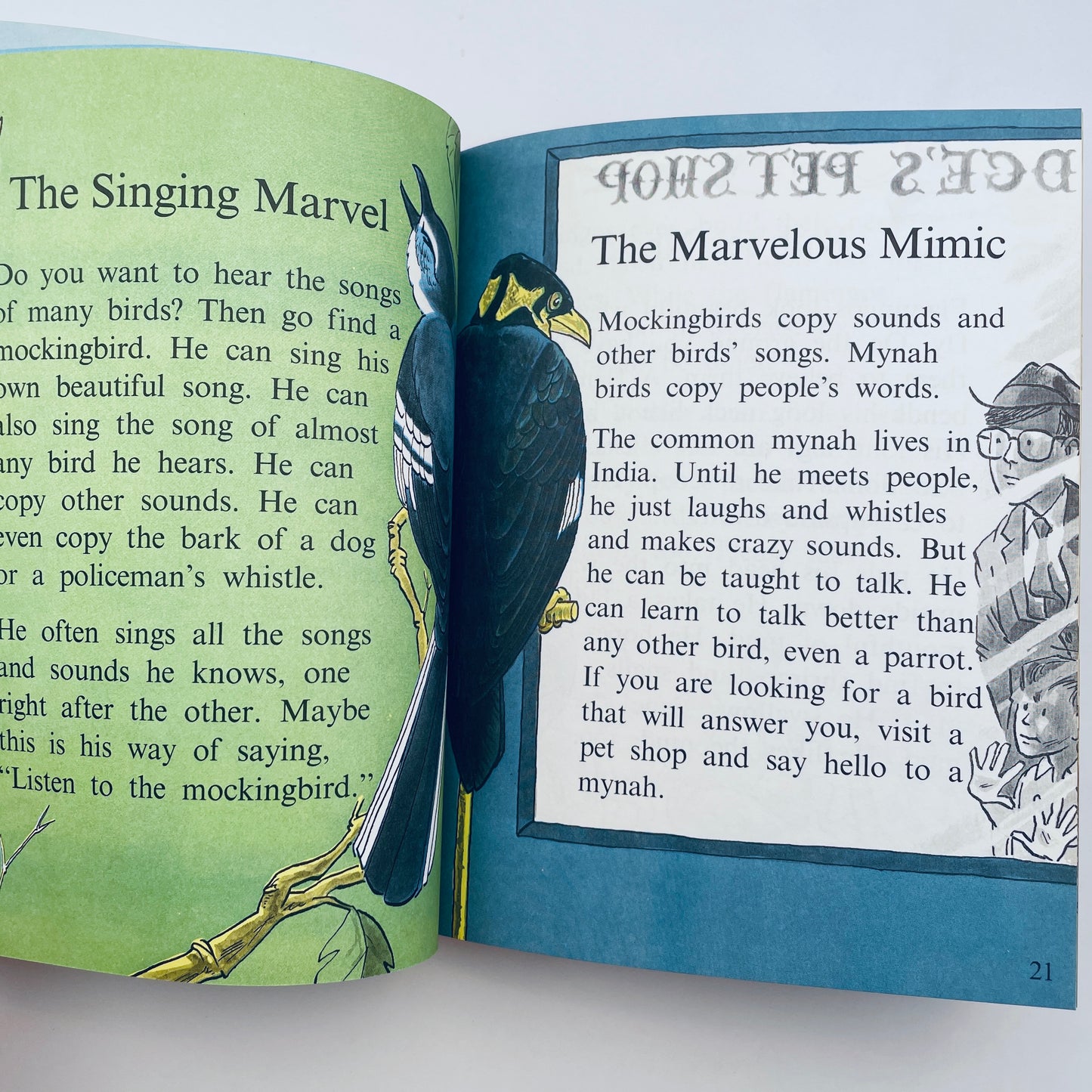Birds do the Strangest Things (Step-Up Books)