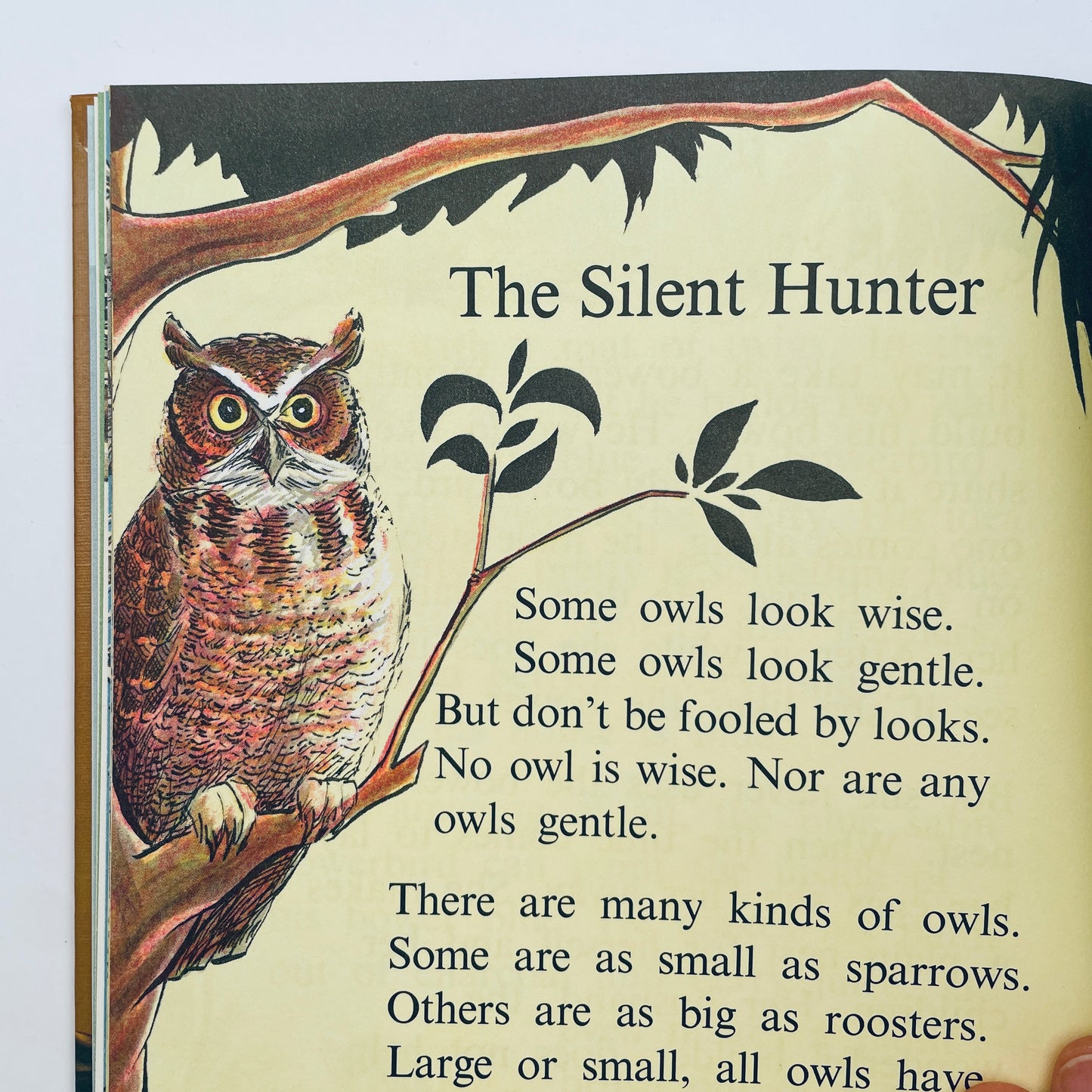 Birds do the Strangest Things (Step-Up Books)