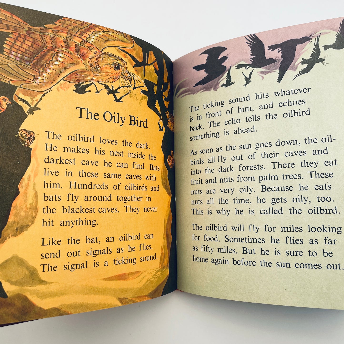 Birds do the Strangest Things (Step-Up Books)