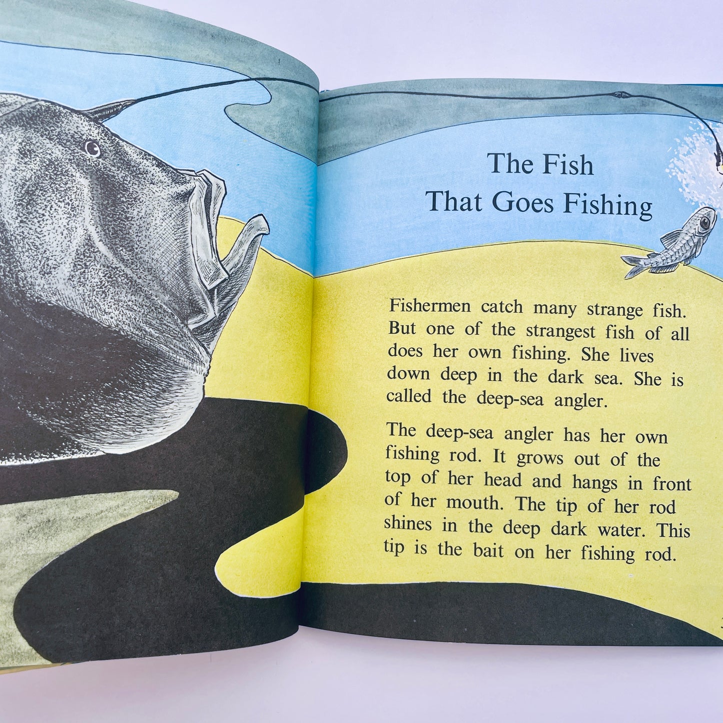 Fish do the Strangest Things (Step-Up Books)