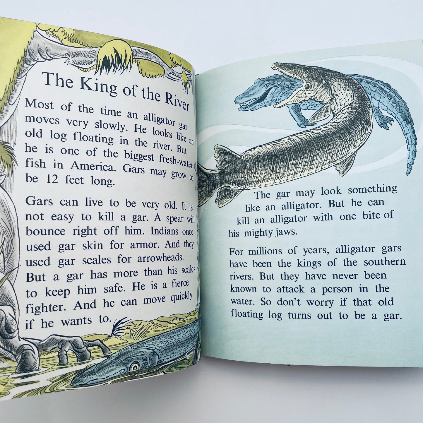 Fish do the Strangest Things (Step-Up Books)