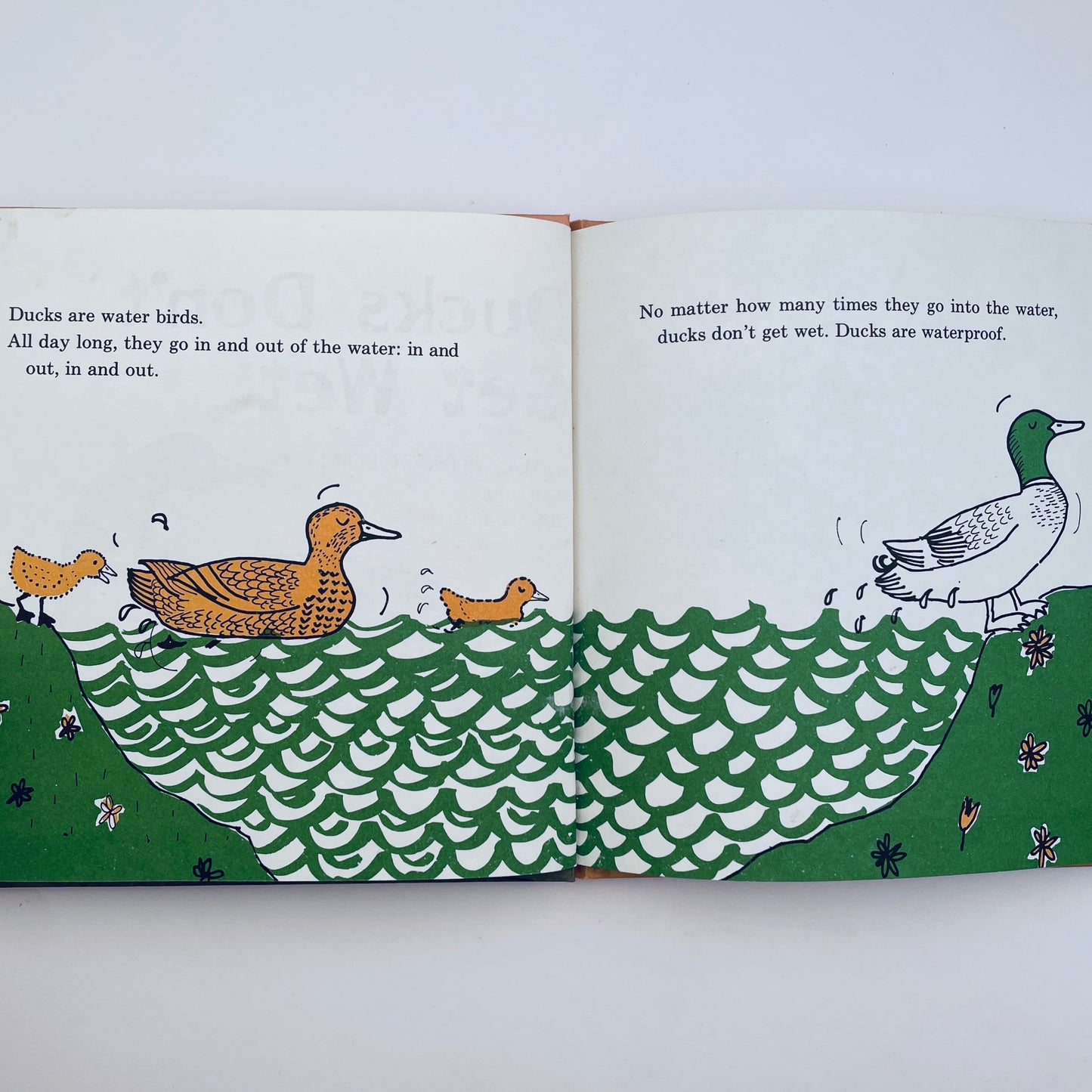 Ducks Don't Get Wet