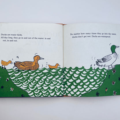 Ducks Don't Get Wet
